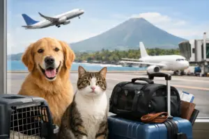 Pet Relocation El Salvador Made Clear