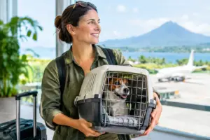 A Guide to Central American Arrivals With Pets